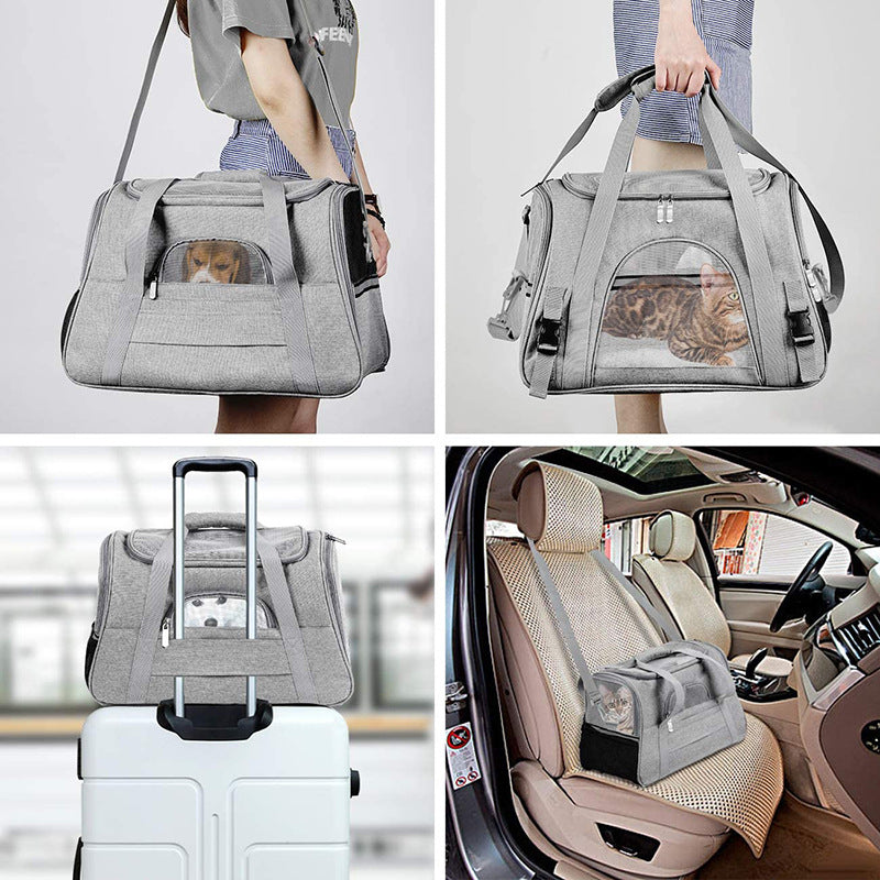 Pet Backpack