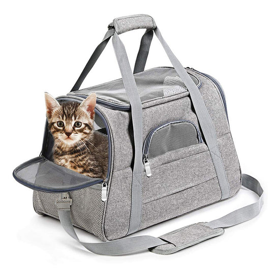 pet

Luggage & Bags

50% OFF

nike bubble backpack

pet bubble backpack

pet carrier backpack bubble

pet carrier bubble

texsens

texsens cat backpack

texsens pet backpack carrier

Pet Backpack

