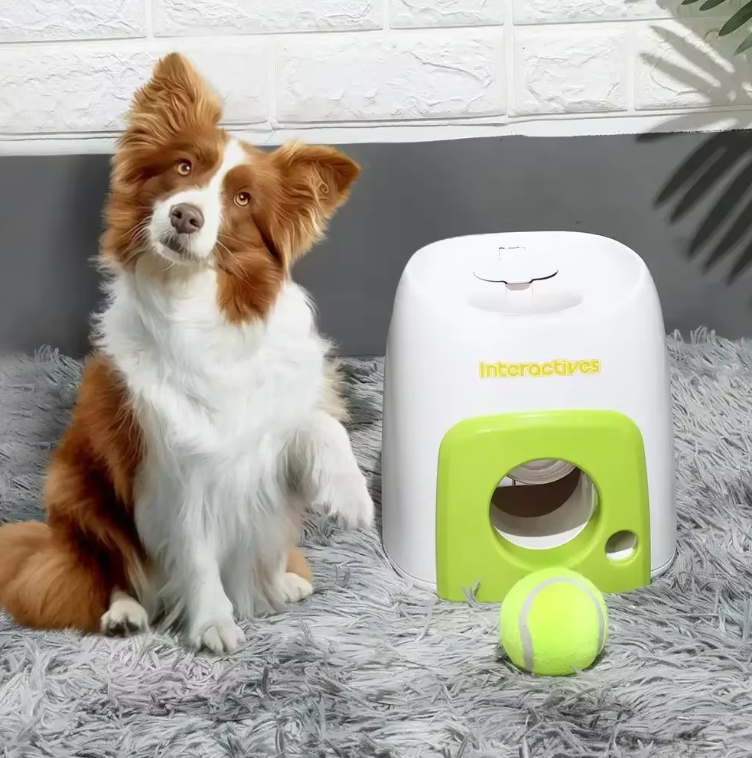 pet

50% OFF

pet safe ball launcher

petsafe auto ball launcher

petsafe automatic ball launcher

petsafe automatic tennis ball launcher

petsafe ball launcher

petsafe dog ball launcher

Pet Ball Thrower

