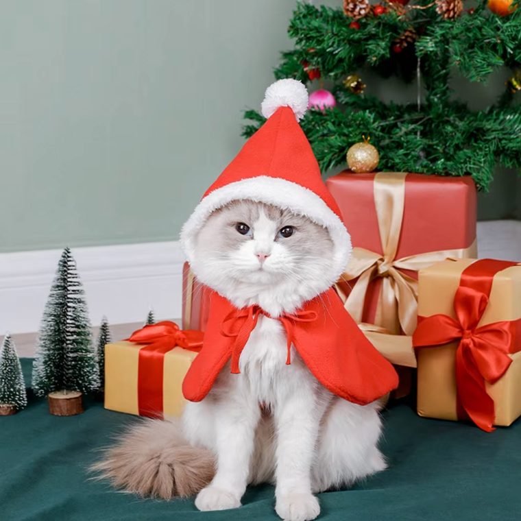 pet

christmas collection

Buy 1 Get 1 50%OFF

50% OFF

santa paws cast

santa pet costume

santa suits

the grinch's dog costume

the santa paws

the search of santa paws

Pet Costume Santa