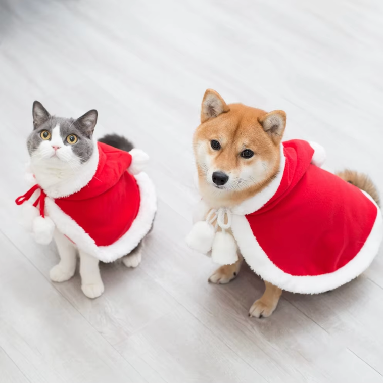 Pet Costume Santa Cosplay Funny Transformed Cat/Dog | BUY ONE GET ONE 50% OFF!!!