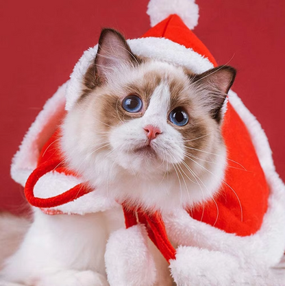 Pet Costume Santa Cosplay Funny Transformed Cat/Dog | BUY ONE GET ONE 50% OFF!!!