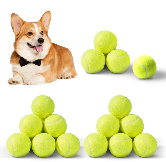 pet

best automatic tennis ball launcher for dogs

best ball launcher

best ball thrower for dogs

best dog automatic ball launcher

best dog ball throwers

dog ball launcher automatic

Pet tennis launcher ball dog bite