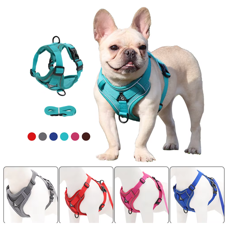 
pet

leash for cats

kitten harness

dog leash cat leash

cat leash harness

cat leash and harness

cat harness and leash

cat harness

50% OFF

10% OFF

