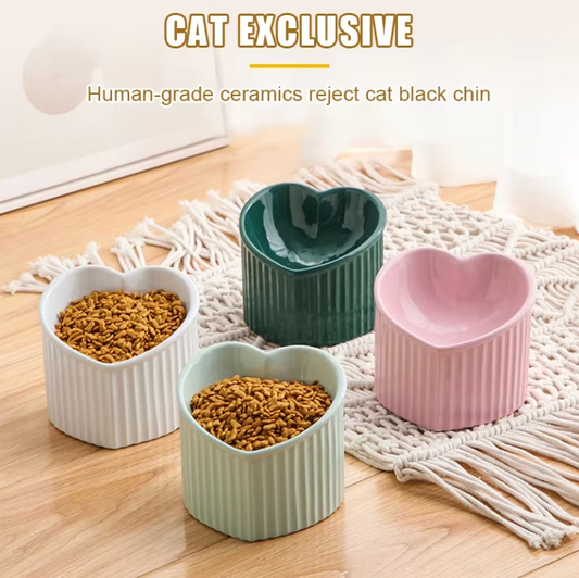 pet

50% OFF

10% OFF

plastic bowls

plastic bowls lids

plastic bowls with cover

plastic bowls with covers

plastic bowls with lid

safest bowls for dogs\

set of plastic bowls with lids

Slanted pet bowl Ceramic pet bowl

