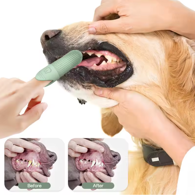 Pet toothbrush silicone finger sleeves 360-degree deodorant oral cleaning| BUY 1 GET 1 FREE