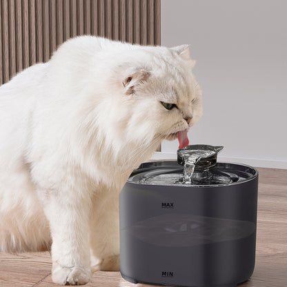 Automatic cat water dispenser