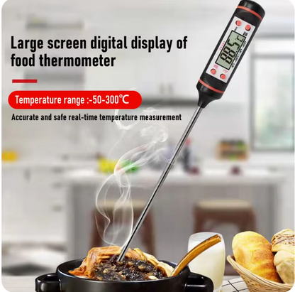 Electronic Thermometer