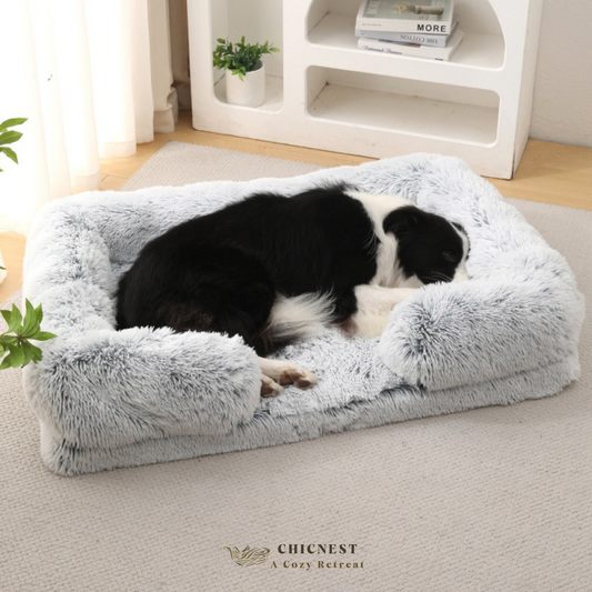 
pet

what is dog house called

dogs house is called

house of dog is called

pet bed

puppy beds

what is a dog house called

Pet House/ Pet Bed